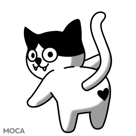 Happy Cat GIF by Moca Network