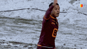 yrkvmechelen what why wat kvm GIF