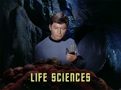 star trek college GIF by University of Alaska Fairbanks