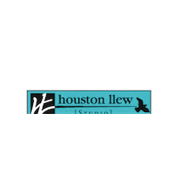 Art Artist Sticker by Houston Llew