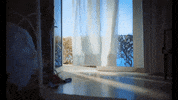 rohmontgomery rickymontgomery blackfins GIF
