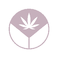 Peace Womens Health Sticker by MyLadykind