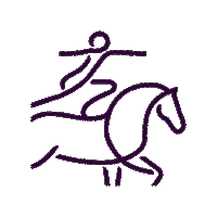 World Vaulting Sticker by CHIO Aachen