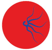 SOLANGISM turku the roots brand tabita karan Sticker