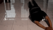 Indonesia Rolling On The Floor GIF