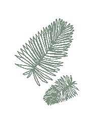 Palm Leaf Spring Sticker by San Diego Hat