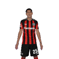 Werkself Shrug Sticker by Bayer 04 Leverkusen