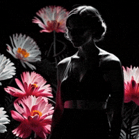 Gay Queer GIF by Garbi KW