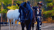 Horse Country GIF by Damez