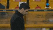 Premier League Football GIF by MolaTV