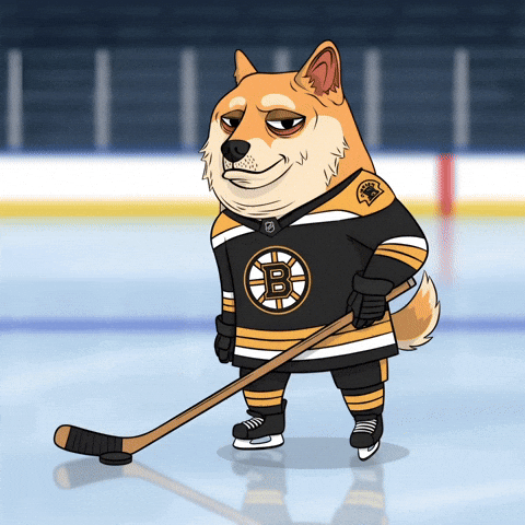 Ice Hockey Illustration GIF by Doge Pound