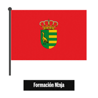 Comunidad De Madrid Flag Sticker by Formación Ninja