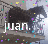 CrystalDestoyer meme mexico horse mexican GIF