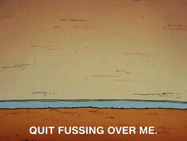 Rockos Modern Life Nicksplat GIF by NickRewind