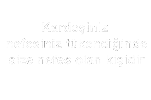 Abi Aile Sticker