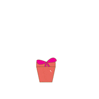liliesl surprise joie cadeau anniversaire GIF