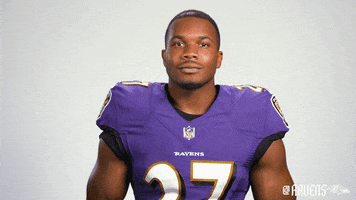 Football Nfl GIF by Baltimore Ravens
