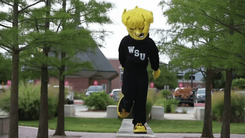 Wu_Shock giphyupload wsu wu wushock GIF