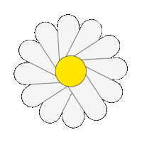 White Flower Sticker
