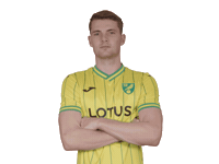 Premier League Soccer Sticker by Norwich City Football Club