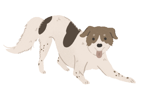 Animated Sticker