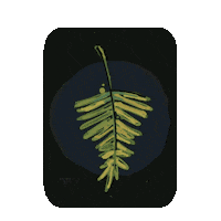 Good Vibes Illustration Sticker