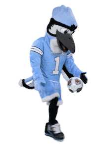 Blue Jay Football Sticker by Johns Hopkins University