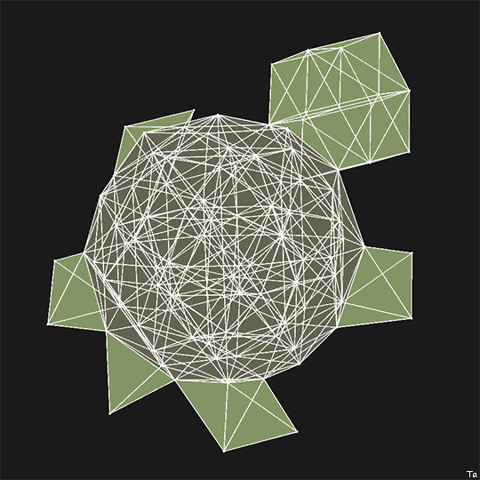 Turtle Stereo GIF by Trevor Anderson