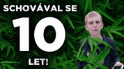 Czech Cesky GIF