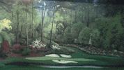 Cnmg19 Fintanmckenna GIF by Carson-Newman Athletics