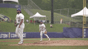 Strike Out Lets Go GIF by LSU Tigers