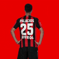 Turning Turn Around GIF by Bayer 04 Leverkusen