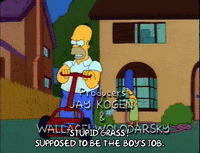 Season 2 Episode 6 GIF by The Simpsons