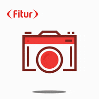 Photography Picture GIF by IFEMA