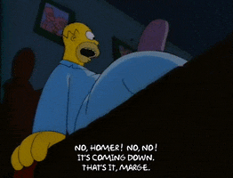 Season 2 Episode 13 GIF by The Simpsons