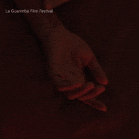 Couple Love GIF by La Guarimba Film Festival