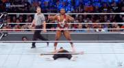 wwe sports wwe wrestling summerslam GIF