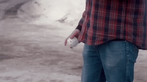 prawn GIF by Topshelf Records