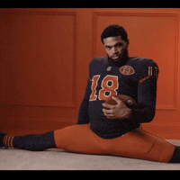 Da Bears Bear Down GIF by Respective