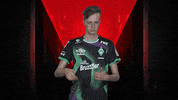 Come On Please GIF by Bundesliga