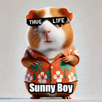 GIF by Guinea Gambino