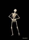 Halloween Skeleton GIF