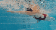 Swim Swimming GIF by MasterSpas