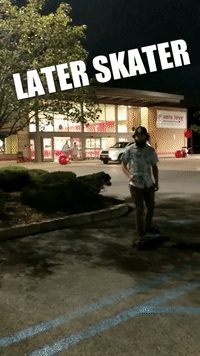 #ramphog #shaunbro #skater #dontworrybegnarly GIF