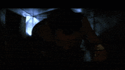 Meme Die GIF by Murphys Magic