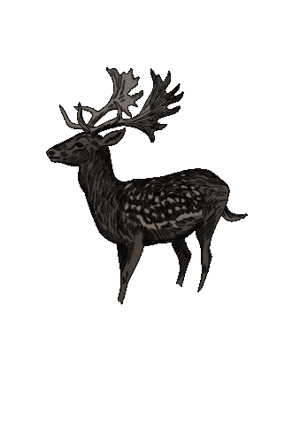 Leouuw giphyupload animal forest wild Sticker