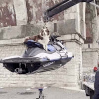 Laviederambo jetski grue bergeraustralien soulever GIF