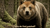 Bull Market GIF by DogeGF