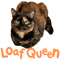 Cat Loaf Sticker