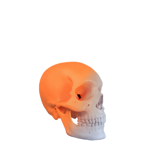 Back To School Nurse Sticker by Elsevier